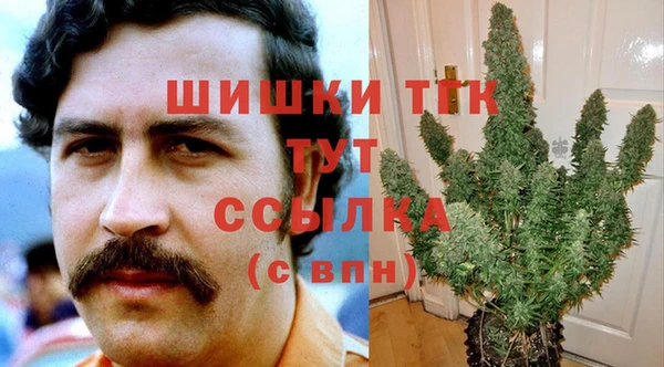 крисы Кинешма