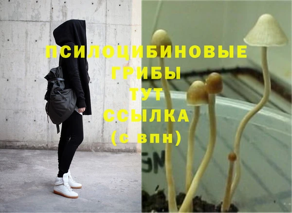 бошки Карпинск