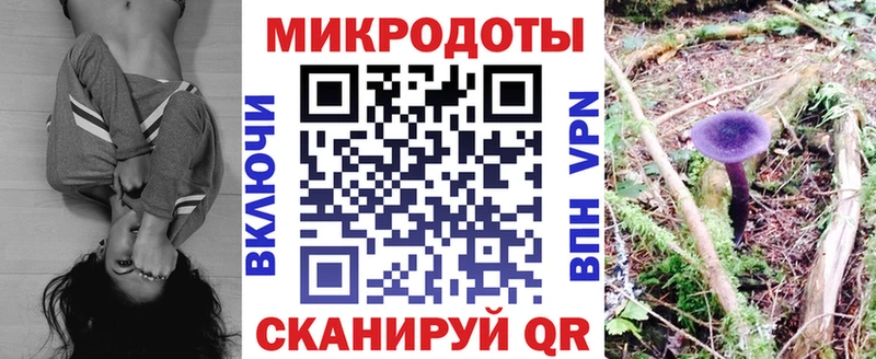 Галлюциногенные грибы Psilocybine cubensis купить цена KRAKEN сайт Красный Сулин